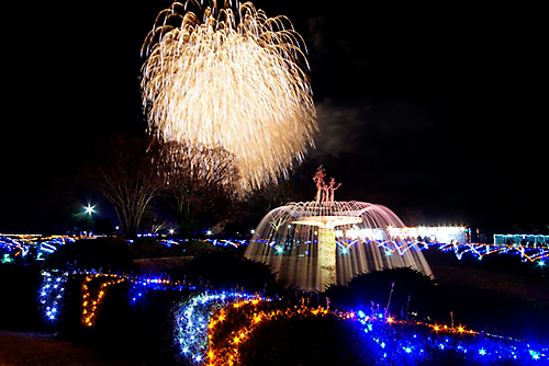 昭和記念公園のイルミネーション 花火