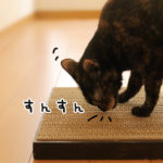 猫の爪とぎ段ボールで手作り
