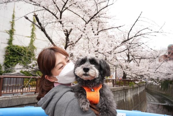 森尾由美 再婚の噂と真相！夫との別居と娘の現在に注目