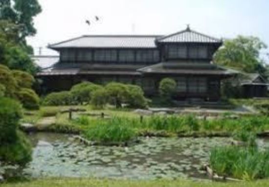 いとうあさこの若い頃が可愛い！お嬢様伝説と結婚の噂の真相